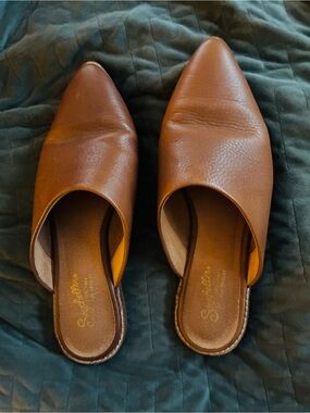 Seychelles Cognac Brown Leather Pointed Toe Slip-On Mules